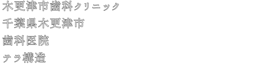 木更津市歯科クリニック
千葉県木更津市
歯科医院
テラ構造