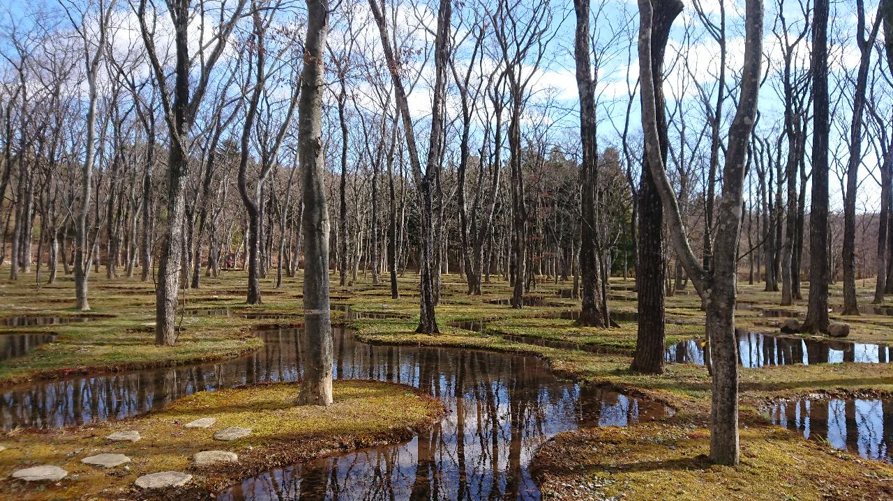 那須のアートビオトープ